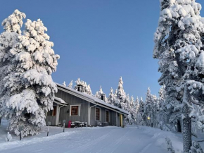 Panoraama 2, Saariselkä